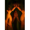The Male Muse Livre photo HAPPY TRAIL n°7